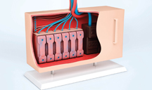 攻击网站在线工具